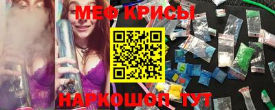 прущие грибы Гатчина
