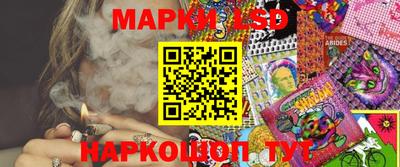 прущие грибы Гатчина