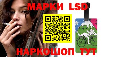 прущие грибы Гатчина