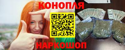 прущие грибы Гатчина
